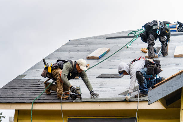 Professional Roofing technician working in Caledonia, IL